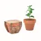 Terracotta pot mint seeds - MINT POT - Anteprima 2